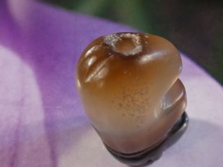 ANCIENT PYU KINGDOM BANDED CHUNG AGATE ELEPHANT AMULET BEAD RARE 23.  8 BY 15 MM 9