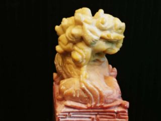 Vintage Chinese Stamp Seal with Marble Dragon 2