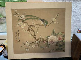 Vintage Chinese Silk Painting Of Bird & Blossom 13.  5”x 11.  9”
