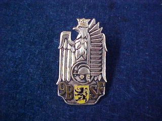 Polish Poland Cap Badge " 9th Flanders Rifle Battalion " 1163