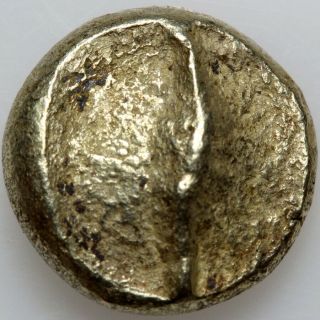 Ancient Greek coin Gold Electrum Ionia Phokaia.  Circa 480 - 450 BC.  Hekte - rooste 2