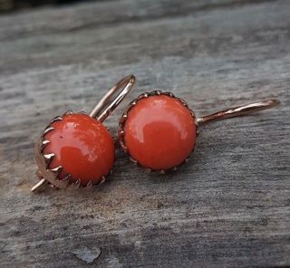 Vintage Imperial Russian Rare Salmon Coral Earrings Natural 4,  7g Gold 14k Old