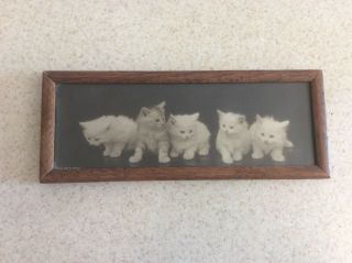 Vintage or antique fine art print kitten picture old kitty framed cute 2