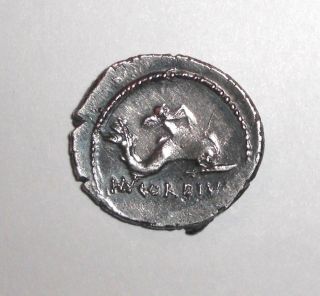 Ancient Roman Republic Empire,  Cordia 3.  46 Bc.  Ar Denarius,  Cupid On Dolphin