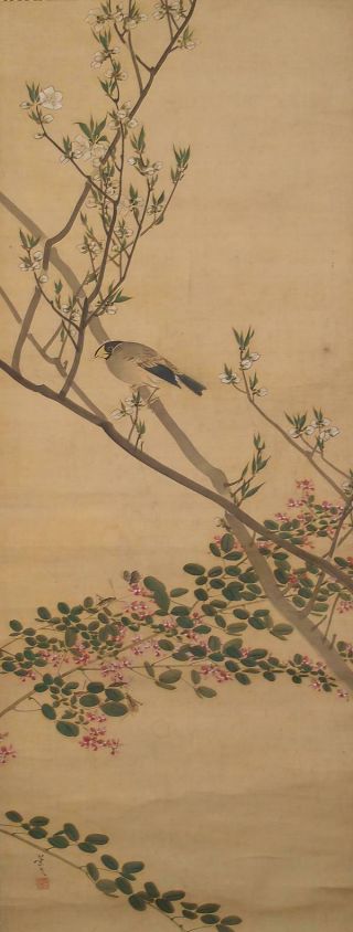 1680 Japanese Hanging Scroll: Warbler And Bush Clover