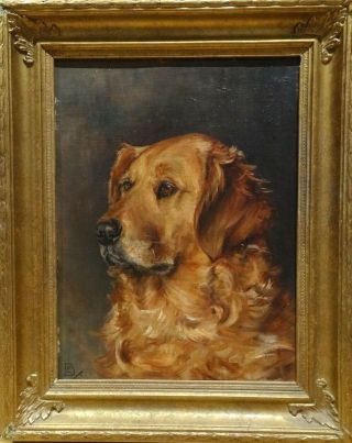 Early 20th Century English Labrador Retriever Dog Portrait Signed Antique