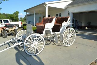 Antique Cut Under Surrey - White And Burgundy Horse Buggy