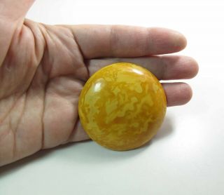 Antique 2 1/4 - Inch Diameter Egg Yolk Baltic Amber Brooch / Pin 20.  8 Grams 2