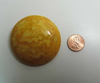 Antique 2 1/4 - Inch Diameter Egg Yolk Baltic Amber Brooch / Pin 20.  8 Grams 3