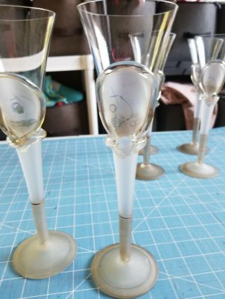 Tamaian Champagne Glasses 4