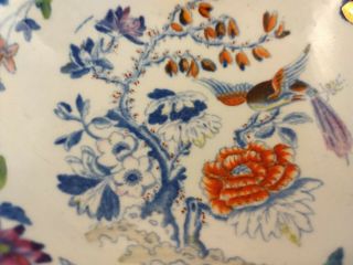 Davenport Stone China Flying Bird w/Tree Bon - Bon Sweetmeat Dish Circa 1819 - 1864 5