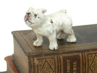 Vintage Cast Iron Bull Dog Figurine Miniatures Collectible Dog Figurines