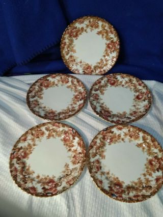 Radford Fenton Victorian Bone China Rust Dessert Plates Set Of 5