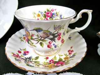 Royal Albert Tea Cup And Saucer Woodland Series Hummingbird Teacup Pattern