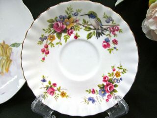 ROYAL ALBERT tea cup and saucer woodland series Hummingbird teacup pattern 2