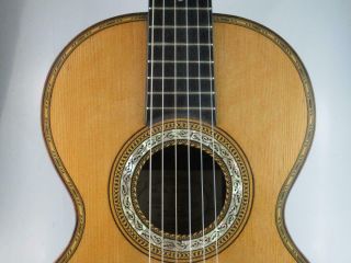 Antique 19th Century Parlour Guitar By W.  H.  Murphy Circa 1880 Manchester 5