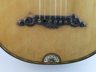 Antique 19th Century Parlour Guitar By W.  H.  Murphy Circa 1880 Manchester 7