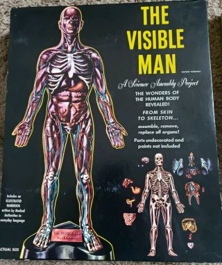 Vintage 1959 Science Toy Clear Model The Visible Man By Renwal,  Inside