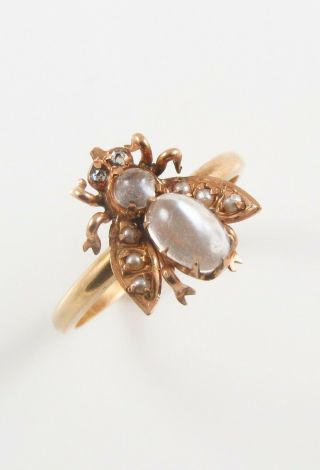 Antique 14k Gold Victorian Moonstone Diamond & Pearl Fly Bee Insect Ring Size 7