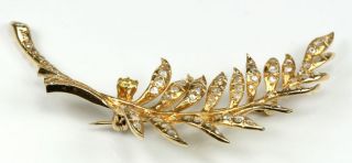 Stunning Large 14K Yellow Gold Feather Brooch Pin With 1800s Rose Cut Diamonds 10