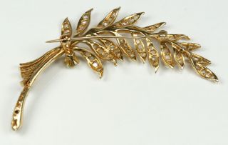 Stunning Large 14K Yellow Gold Feather Brooch Pin With 1800s Rose Cut Diamonds 4