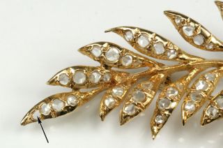 Stunning Large 14K Yellow Gold Feather Brooch Pin With 1800s Rose Cut Diamonds 5