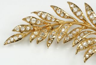 Stunning Large 14K Yellow Gold Feather Brooch Pin With 1800s Rose Cut Diamonds 6