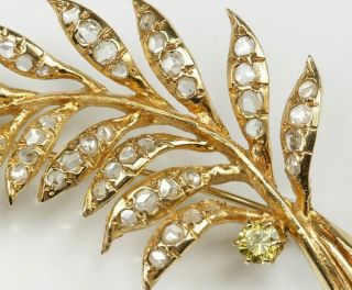 Stunning Large 14K Yellow Gold Feather Brooch Pin With 1800s Rose Cut Diamonds 7