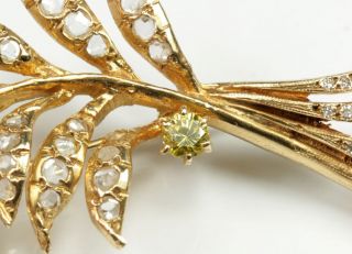 Stunning Large 14K Yellow Gold Feather Brooch Pin With 1800s Rose Cut Diamonds 8