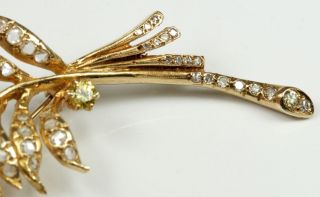 Stunning Large 14K Yellow Gold Feather Brooch Pin With 1800s Rose Cut Diamonds 9