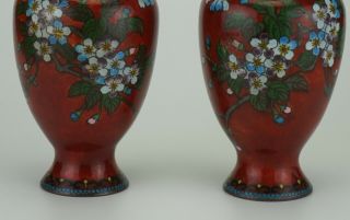 PAIR Antique Japanese Cloisonne Vases MEIJI 19th C 3