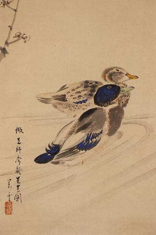 Japanese Hanging Scroll Art Painting " Ducks " Asian Antique E7839