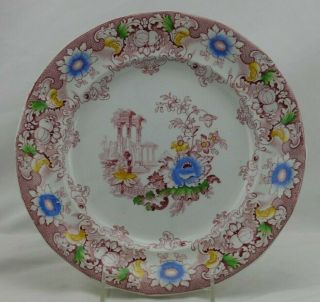 Cleopatra Francis Morley Pink Antique 19th Century Rimmed Bowl 10 1/4 " 5