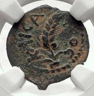 Marcus Ambibulus Augustus Jerusalem Ancient 8ad Biblical Roman Coin Ngc I70877