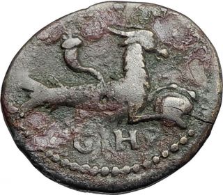 Septimius Severus 193ad Ancient Roman Coin Parium Mysia Capricorn Zodiac I67192
