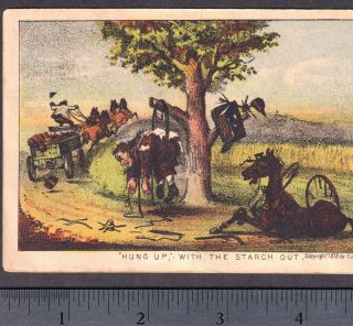 Antique 1878 Currier & Ives Horse Comic Hung Up Starch Out Victorian Trade Card