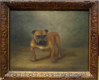 Early 20th Century English British Bulldog Dog Portrait Antique Oil Painting