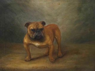 Early 20th Century English British Bulldog Dog Portrait Antique Oil Painting 3
