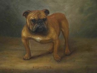 Early 20th Century English British Bulldog Dog Portrait Antique Oil Painting 4