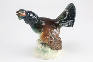 Vintage 9 " X 9.  5 " German Germany Grouse / Turkey / Bird Figurine Cortendorf 2104