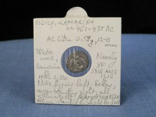 Ancient Greek Silver Coin Sicily Kamarina Ar Litra 461 - 435 Bc Nearly Xf
