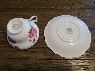 VINTAGE 1950 FOLEY ' CENTURY ROSE ' BONE CHINA TEA CUP & SAUCER SIGNED PAUL GRANET 6