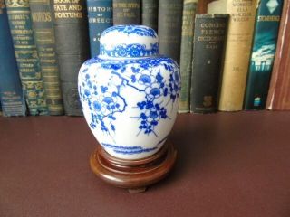 Early 20th C Chinese Blue & White Porcelain Ginger Jar - Prunus Blossom
