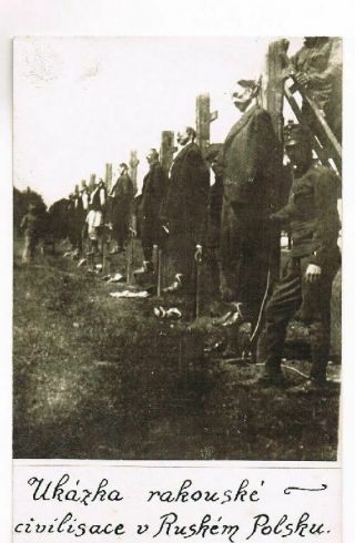Wwi Photo No.  315 Austrian Soldiers Dead Spy