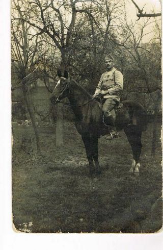 Wwi Photo No.  165 Austrian Soldier Horse