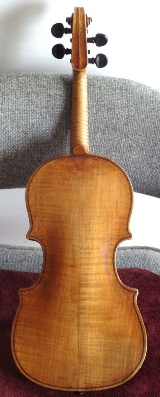 Italian Antique 19th Century Neapolitan Violin ascribed to Ventapane,  Pasquale 2