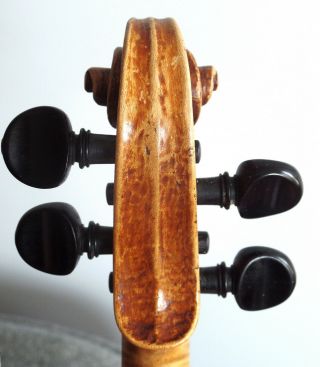 Italian Antique 19th Century Neapolitan Violin ascribed to Ventapane,  Pasquale 4