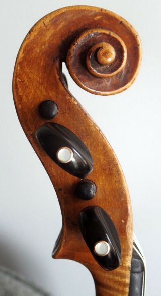 Italian Antique 19th Century Neapolitan Violin ascribed to Ventapane,  Pasquale 5