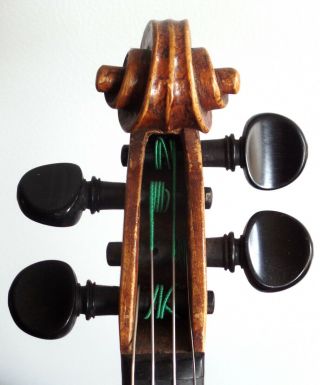 Italian Antique 19th Century Neapolitan Violin ascribed to Ventapane,  Pasquale 6