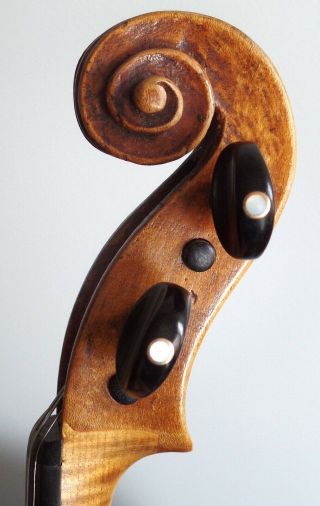 Italian Antique 19th Century Neapolitan Violin ascribed to Ventapane,  Pasquale 7
